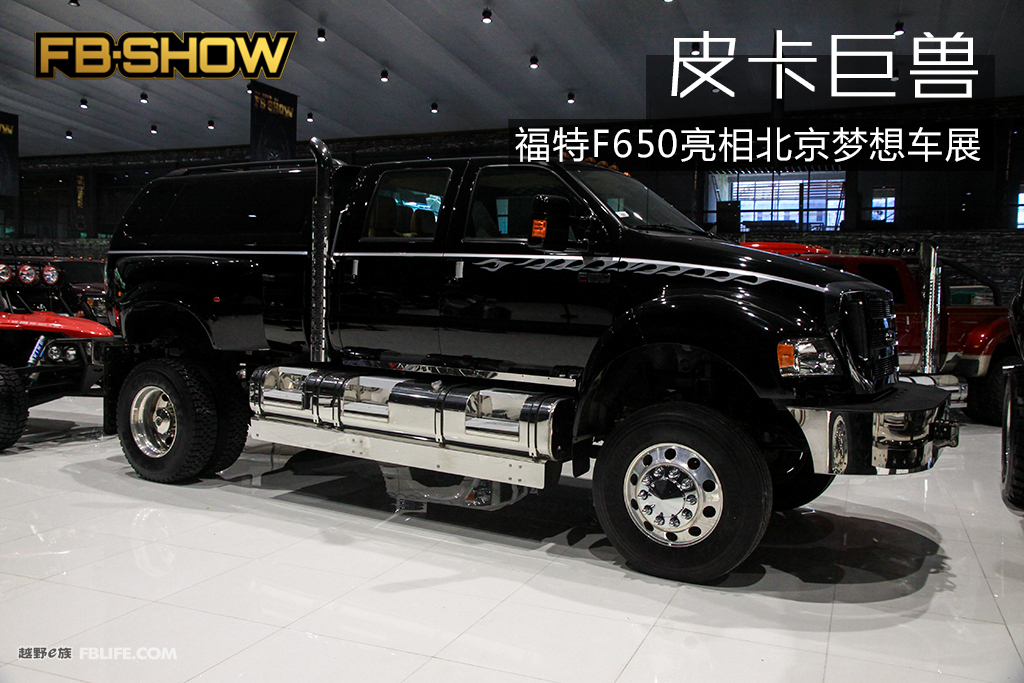 ܇չ  ƤеľޫF F-650