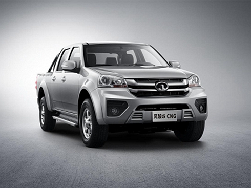 LƤLE5-CNGӲ ۃr8.18fԪ