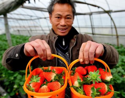 48Сrg Ԍr(nng)a(chn)Ʒa(chn)ֱ